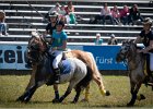 Pferd International 030